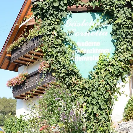 Gaestehaus Cornelia 3* Wildensee